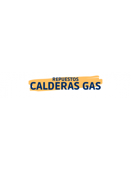 REPUESTOS CALDERAS GAS